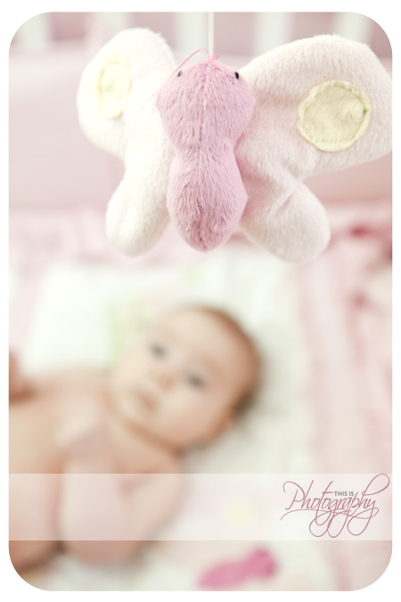 baby|photography|lifestyle|portraits|Halifax