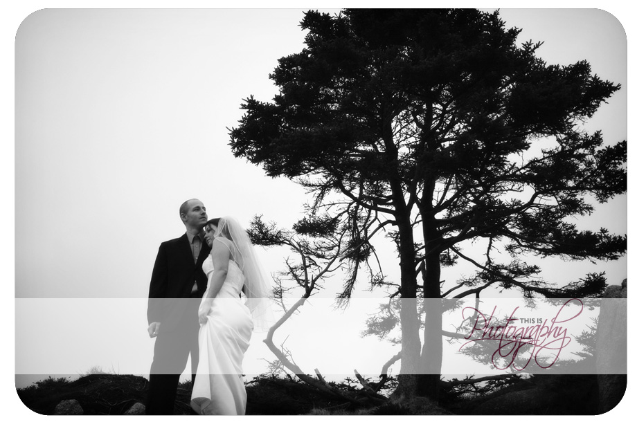 dansheriseedit287-copy